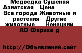 Медведка Сушеная Азиатская › Цена ­ 1 400 - Все города Животные и растения » Другие животные   . Ненецкий АО,Фариха д.